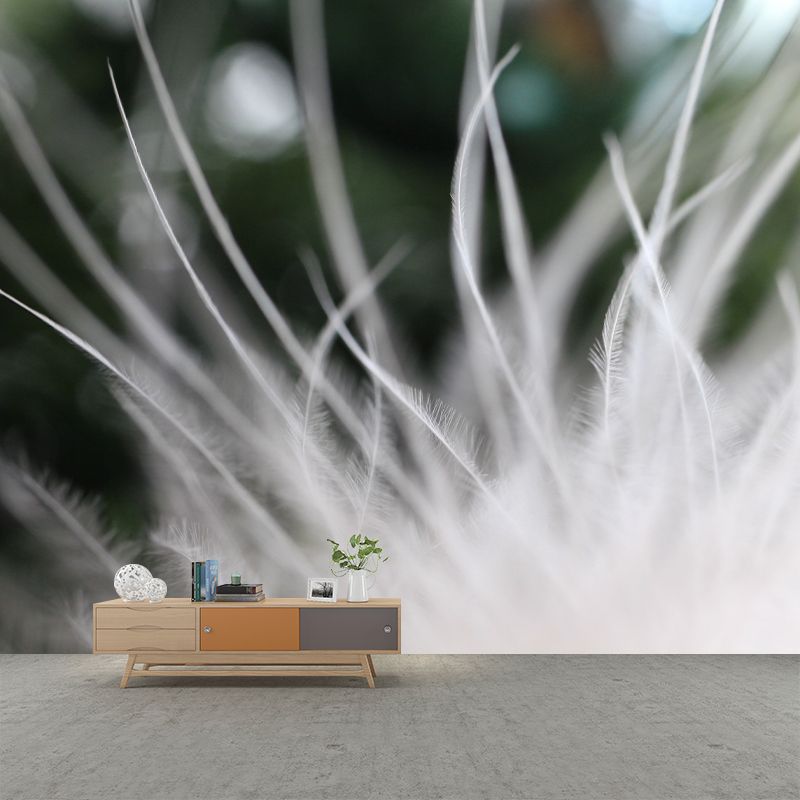 Contemporary Style Feather Wall Mural Home Decor for Sleeping Room, Stain-Resistant