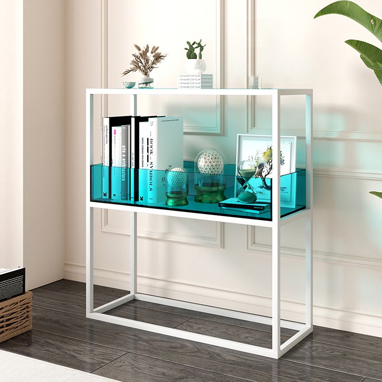 1-Tier Standard Bookshelf Modern Style Open Back Acrylic Bookcase