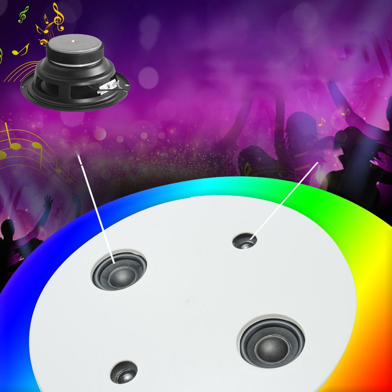 Flush Mount Ceiling Fixture LED Light Smart Mobile Phone Control Indoor Bedroom Light