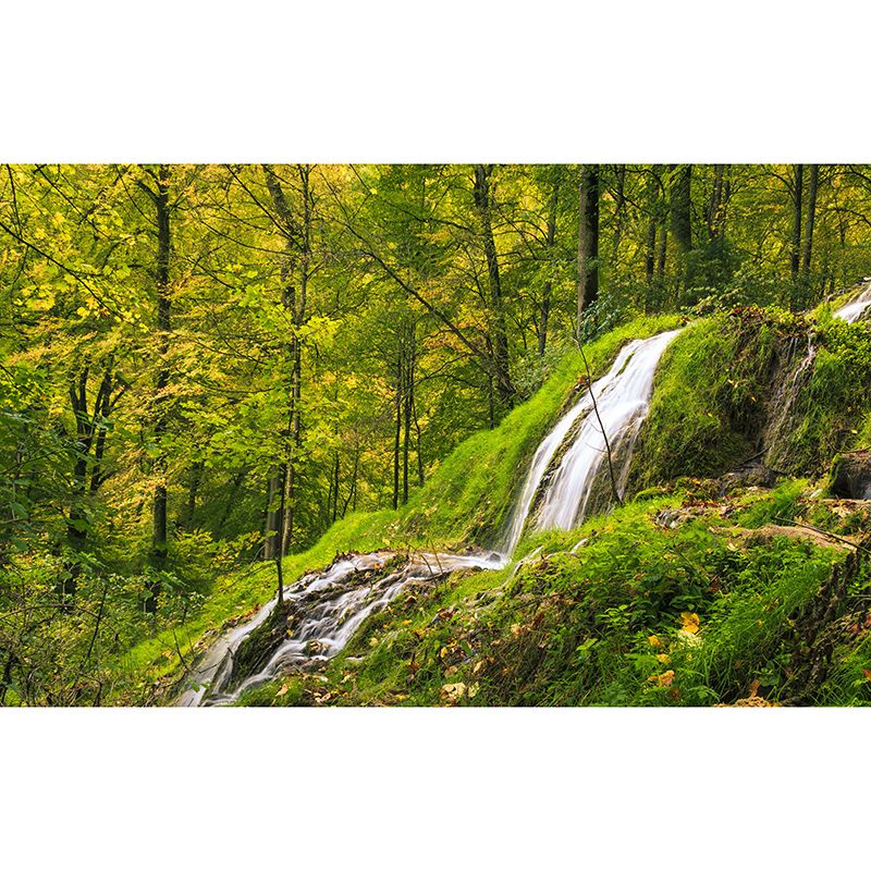 Simple Green Forest Mural Custom-Printed Minimalist Wall Art for Office Room