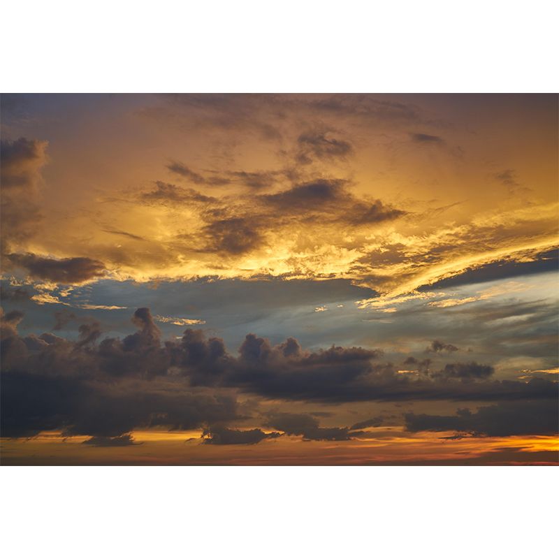 Environmental Contemporary Sky Wall Mural Mildew Resistant Wallpaper for Room