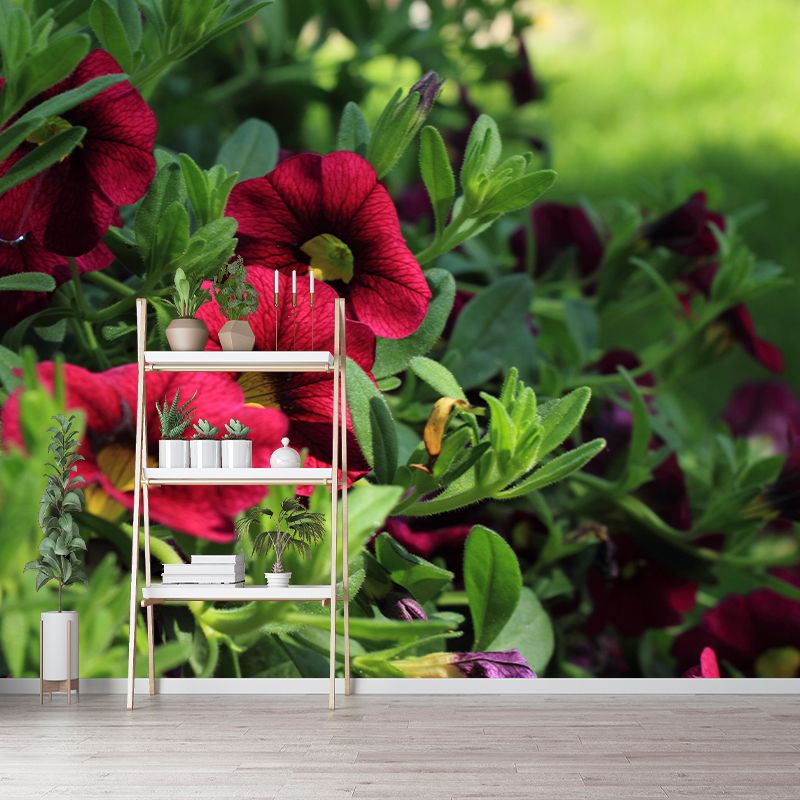 Modern Petunia Mural Wallpaper Stain Resistant Wall Covering for Living Room