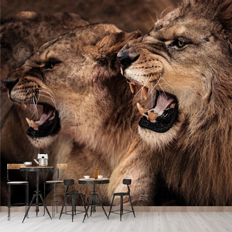 Big Roaring Lions Wall Mural Brown Non-Woven Fabric Wall Decor, Washable, Custom Made
