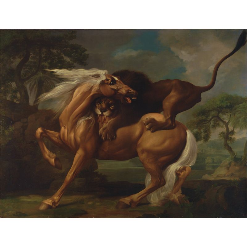 Horse Animal Mural for Sleeping Room Moisture Resistant Wall Decor, Customized Size