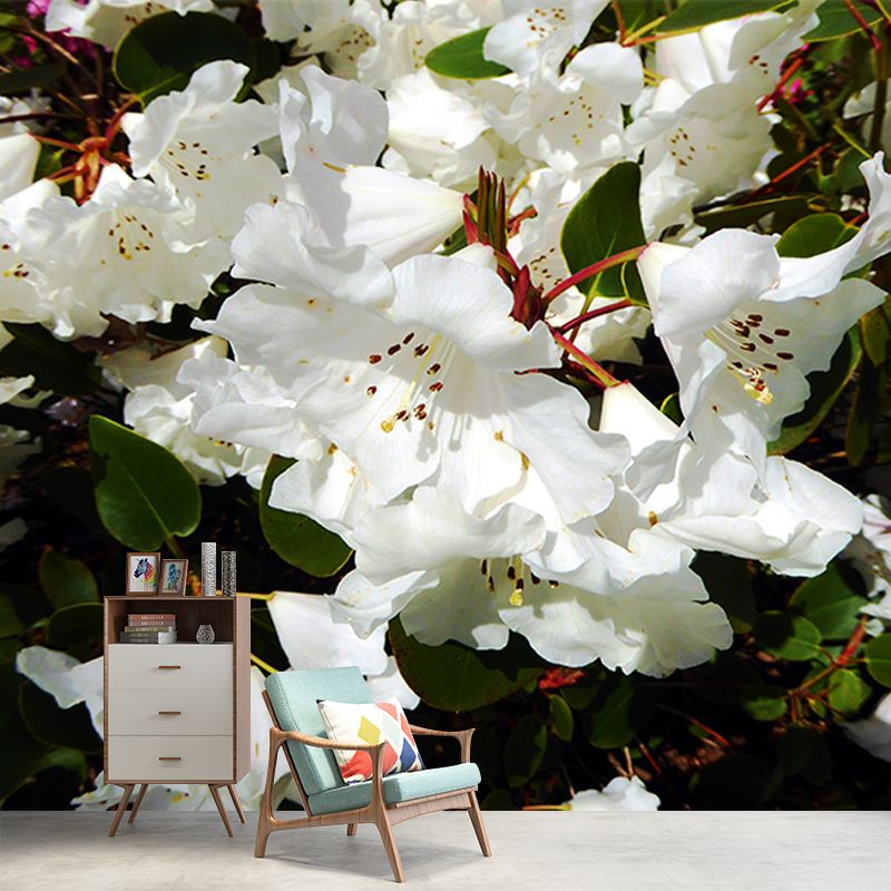 Rhododendron Wall Mural for Guest Room Bedroom, Personalized Size Available