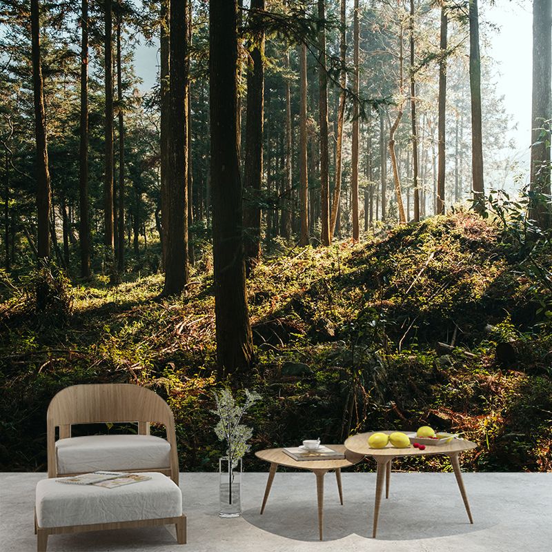 Environmental Wall Mural Wallpaper Forest Scenery Living Room Wall Mural