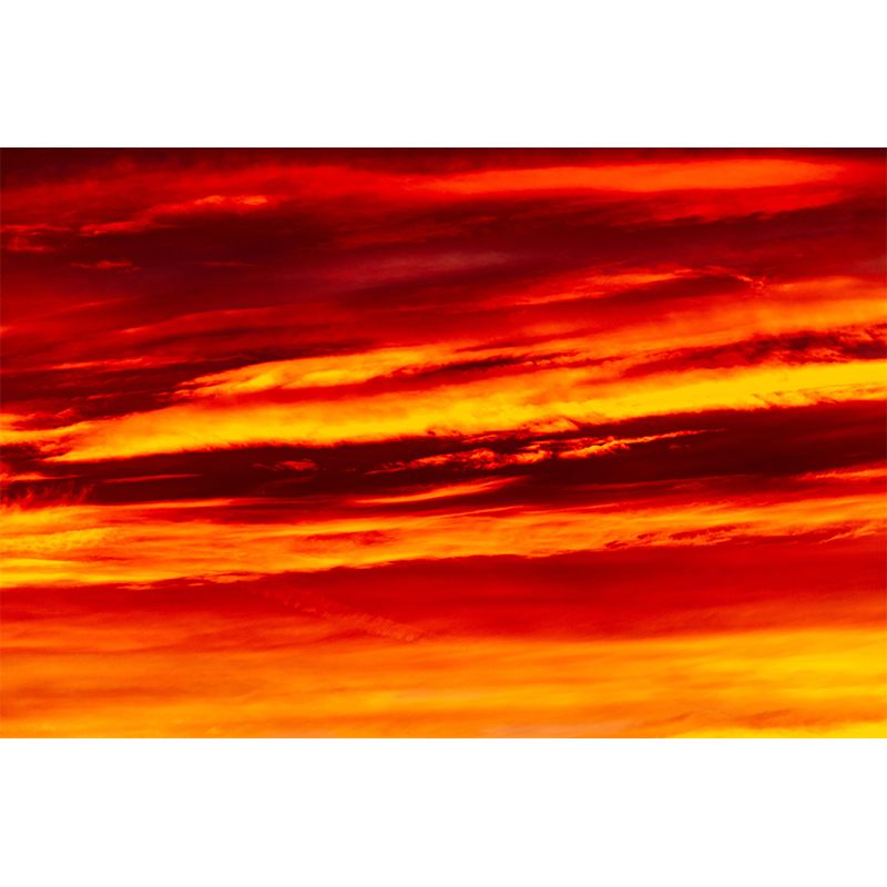 Customized Beautiful Sky Mural Mildew Resistant for Dining Room Decoration