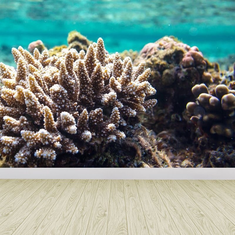 Bright Tropix Wall Paper Mural Large World Beneath the Ocean Surface Wall Decor for Room