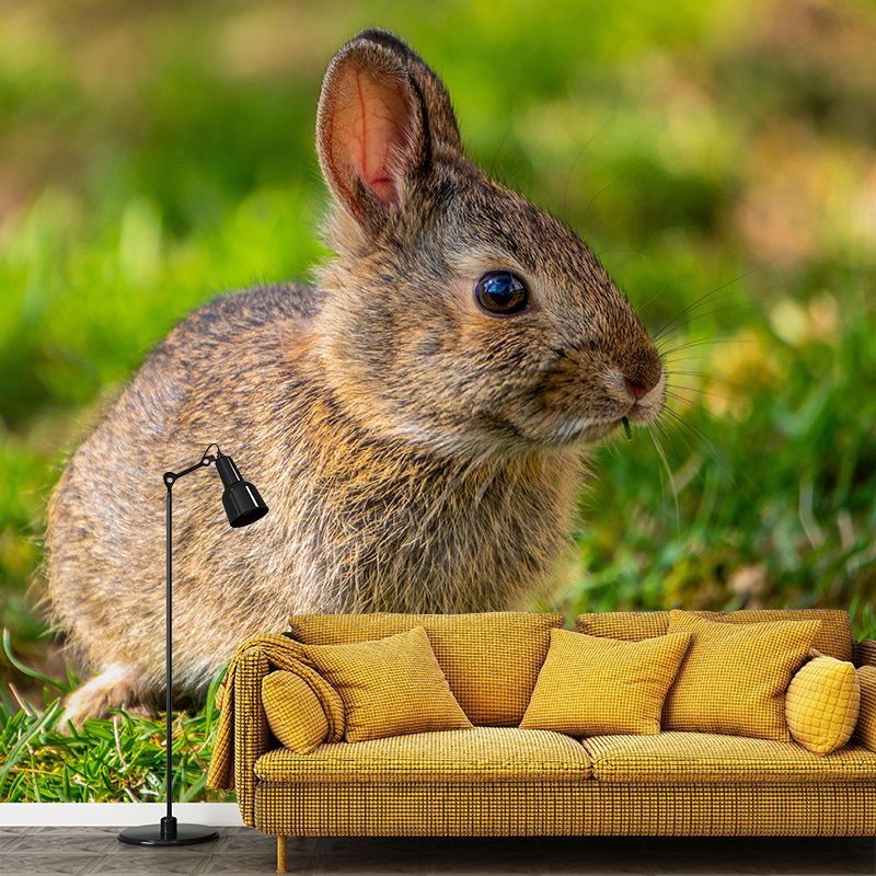 Photography Hare Mural Wall Decor Mildew Resistant Living Room Wall Mural Wall Art
