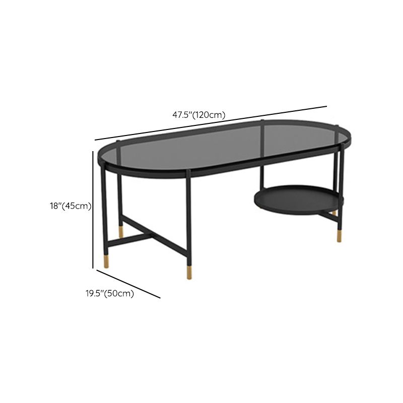 Contemporary Elliptical Glass & Slate Coffee Cocktail Table with Storage Shelf