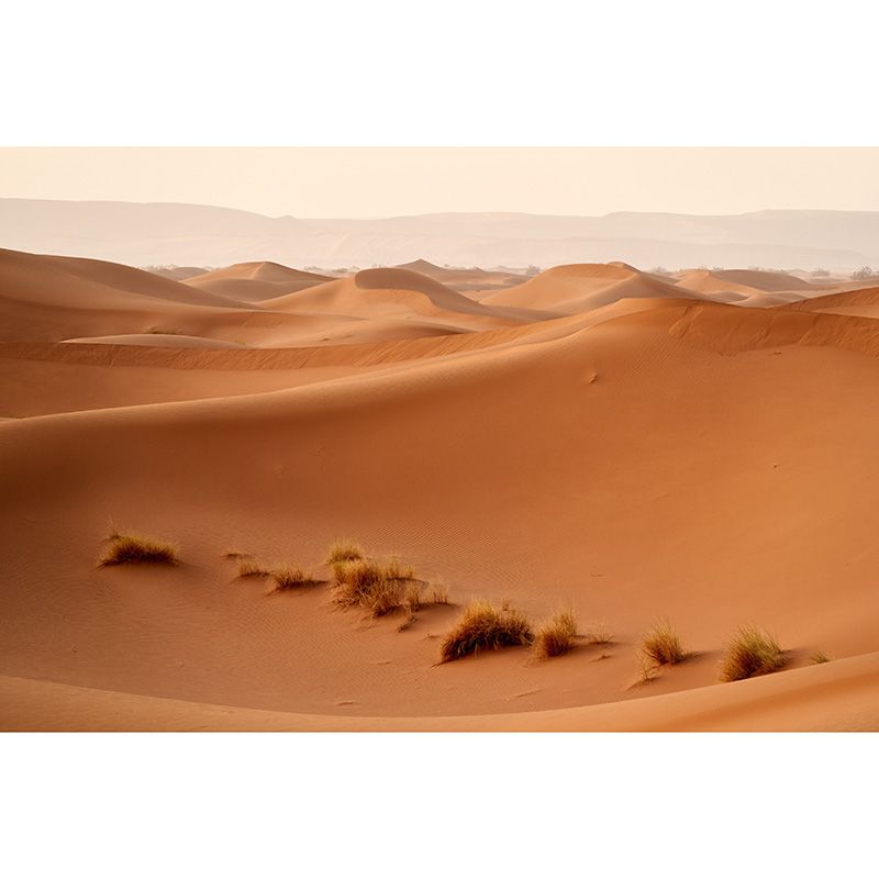 Nature Landscape of Desert Wall Mural Moisture Resistant Contemporary Wallpaper