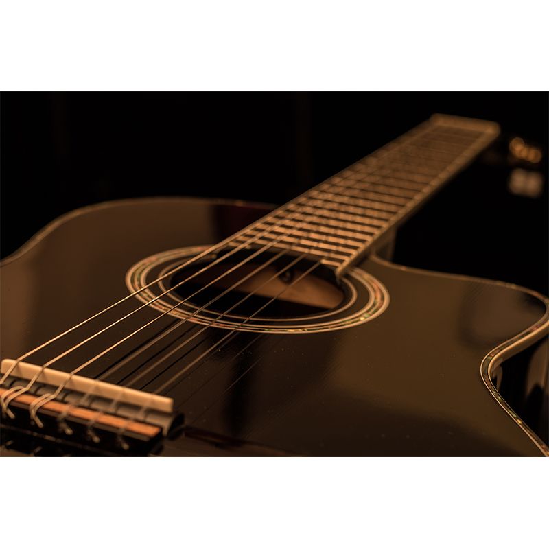 Water Resistant Guitar Hobby Mural Wallpaper Contemporary Wall Art for Study Room