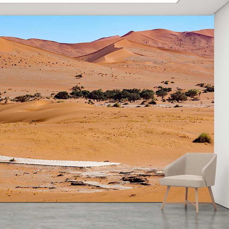 Modern Style Desert Mural Wallpaper Mildew Resistant Wall Decor