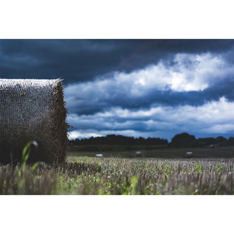 Moisture Resistant Straw Bales Mural Wall Covering for Sitting Room Wall Decor