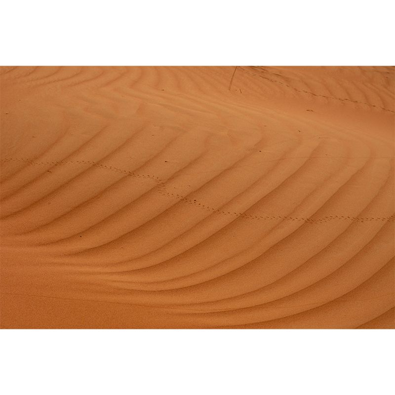 Soft Color Desert Mural Decal Nature Scenery Modern Mildew Resistant Wall Art for Home