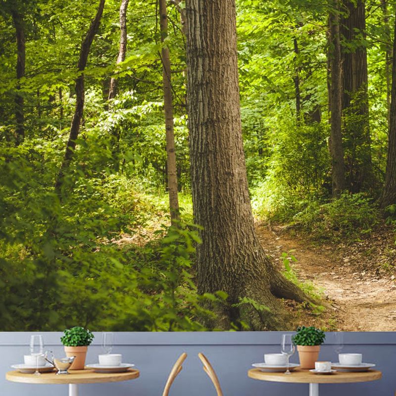 Full Size Jungle Mural Wallpaper in Green Non-Woven Fabric Wall Art for Coffee Shop, Made to Measure