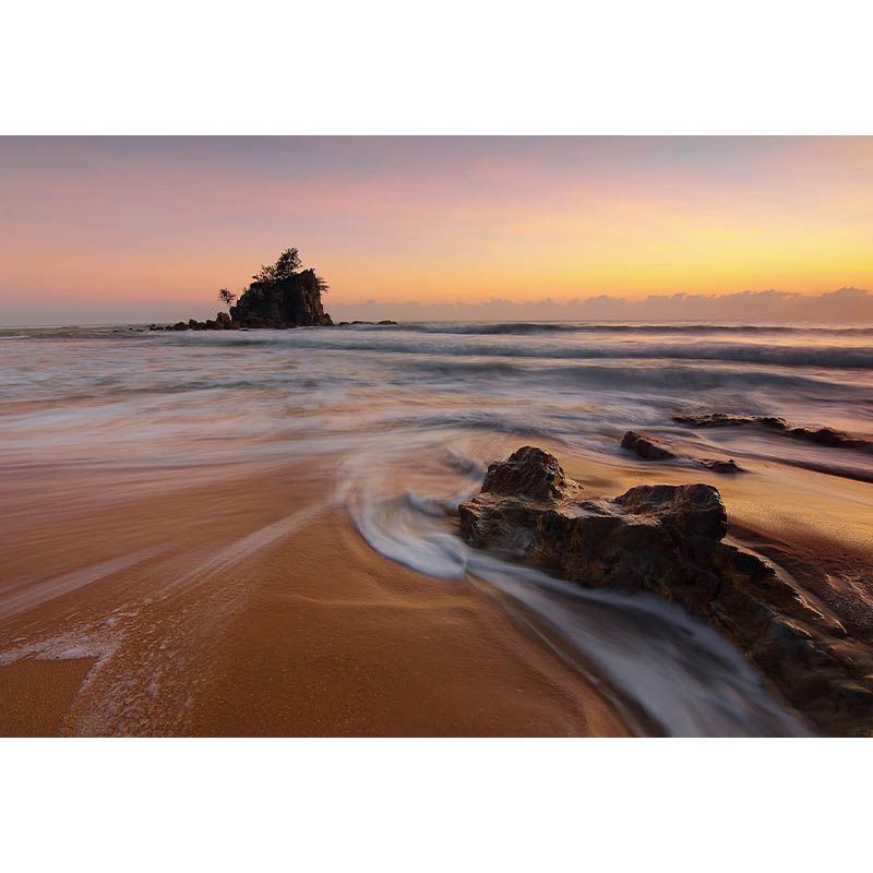 Modern Wall Mural Tropical Photography Sea Pattern Peel and Stick