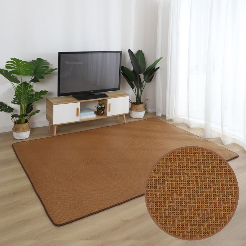 Brown Sisal Rug Polyester Countryside Rug Washable Rug for Living Room