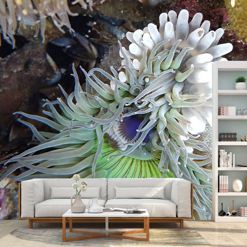 Sea Creatures Mural Personalized Size Wall Covering for Sleeping Room Home Decor