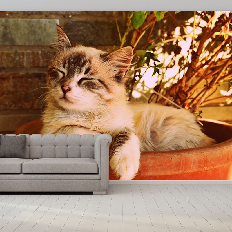 Photography Wall Mural Wallpaper Cats Sitting Room Wall Mural