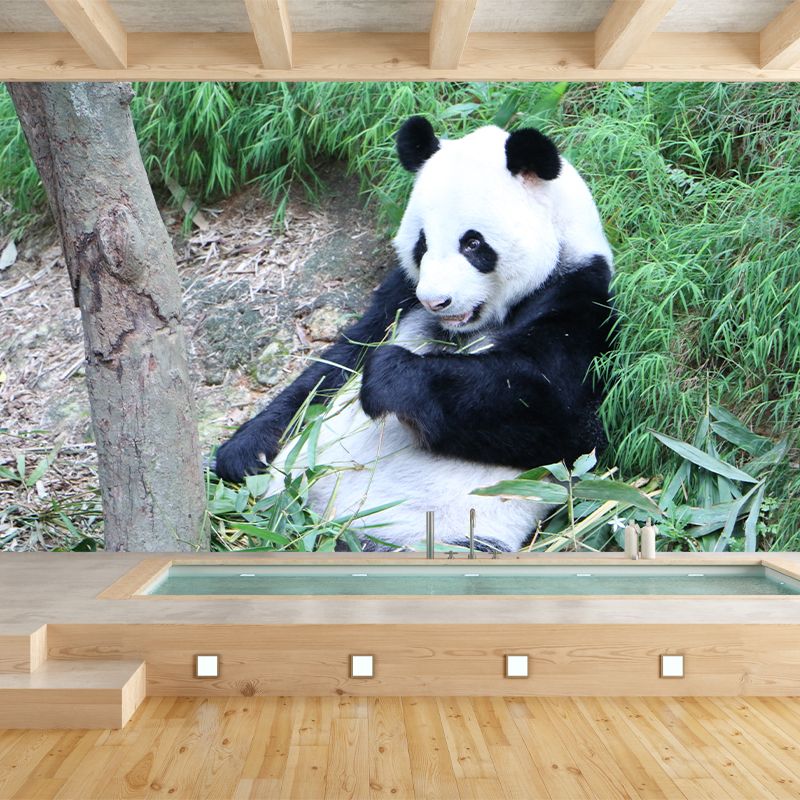 Panda Contemporary Mural Decal Sitting Room Moisture Resistant Wall Decor