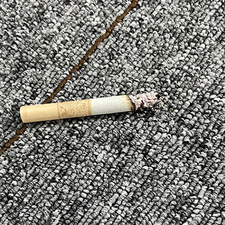 Modern Carpet Floor Tile Level Loop Self Adhesive Stain Resistant Carpet Tiles