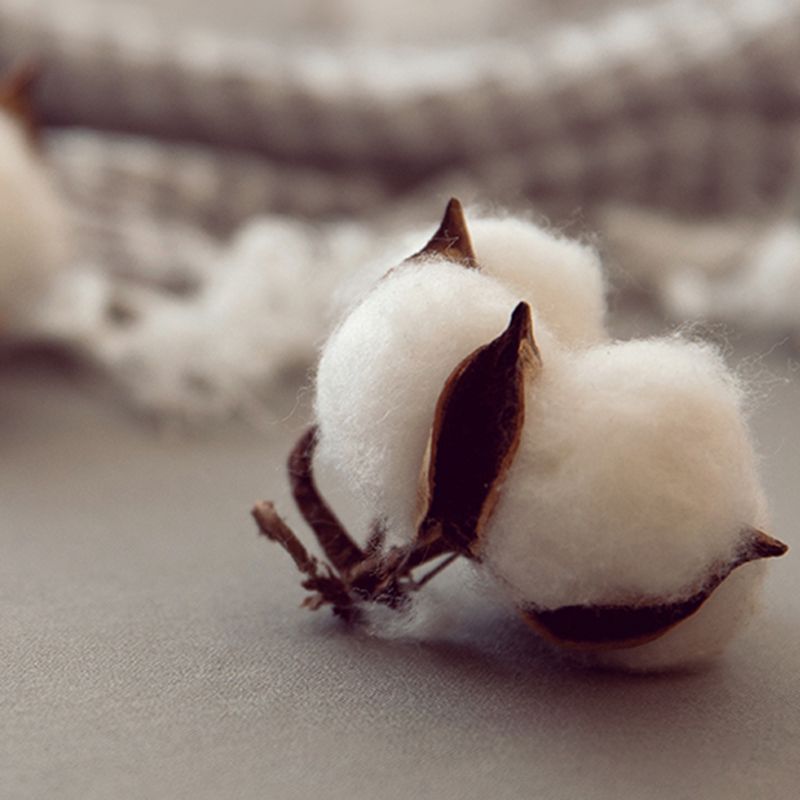 Pure Cotton Solid Color Fitted Sheet Set Extra Soft Breathable Bed Sheet