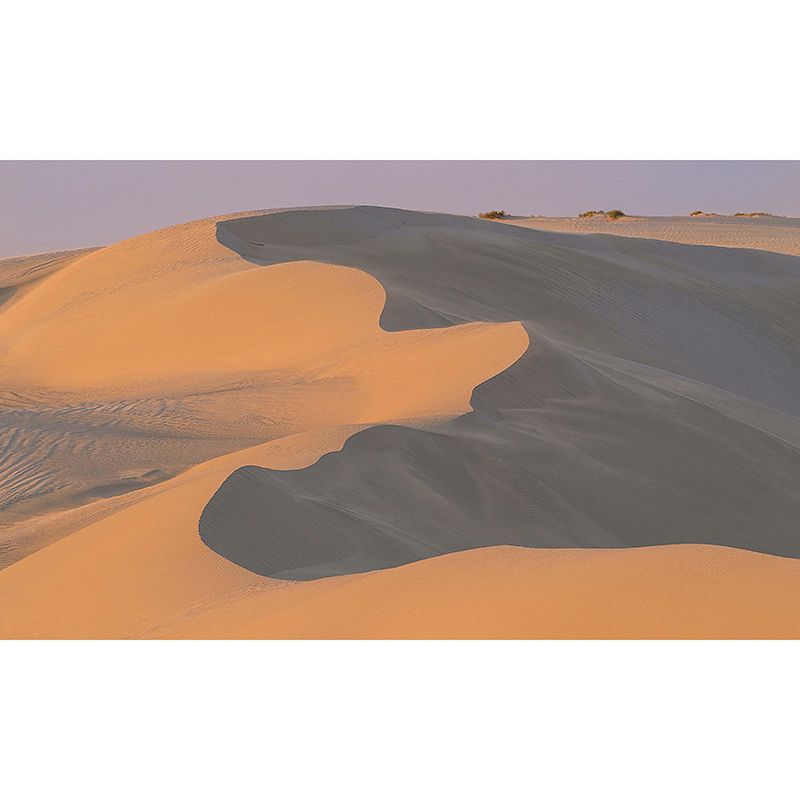 Desert Mural Wallpaper for Living Room Decor, Personalized Size Available