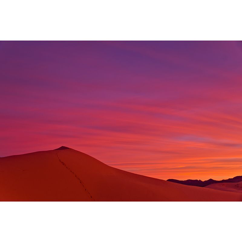 Water Resistant Desert Mural Wallpaper Contemporary Style Living Room Wall Mural