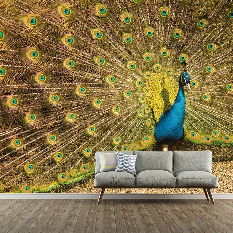 Beautiful Peacock Mural Wallpaper Stain Resistant Wall Covering for Living Room
