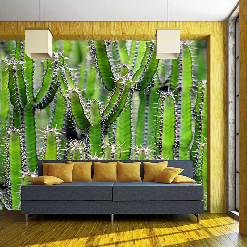 Full Size Prickly Cactus Removable Wall Mural for Reading Room, Customized Size Available