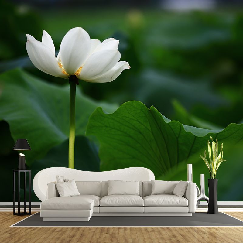 Blooming Lotus Flower Murals Wallpaper Modern Stain Resistant Wall Decor for Bedroom