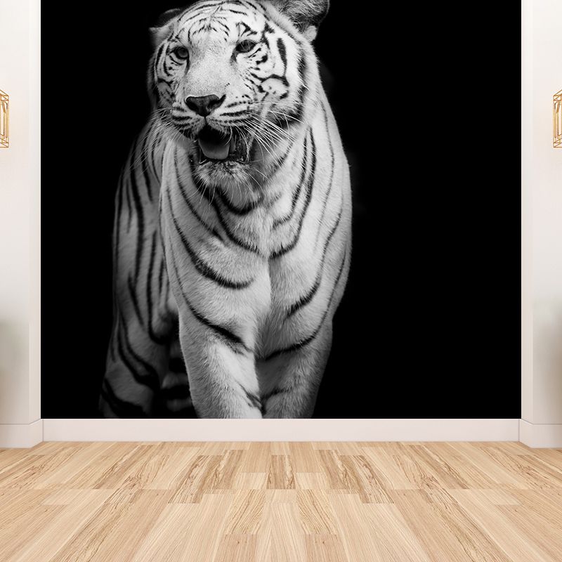 Wild Tiger Mural Wallpaper Contemporary Non-Woven Textured Wall Covering in Black