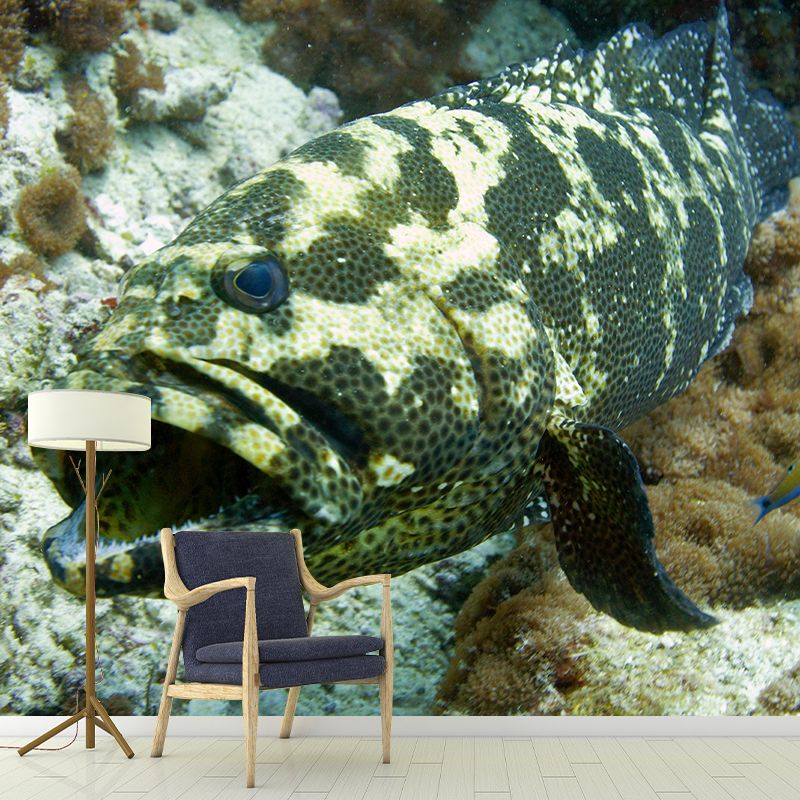 Stain Resistant Environmental Wallpaper Sea Animal Bathroom Murals Wallpaper