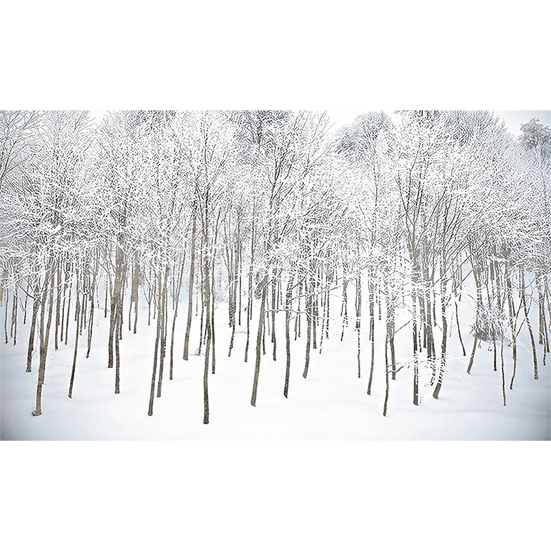 White Winter Rime Forest Mural Moisture-Resistant Wall Decoration for Teens Bedroom