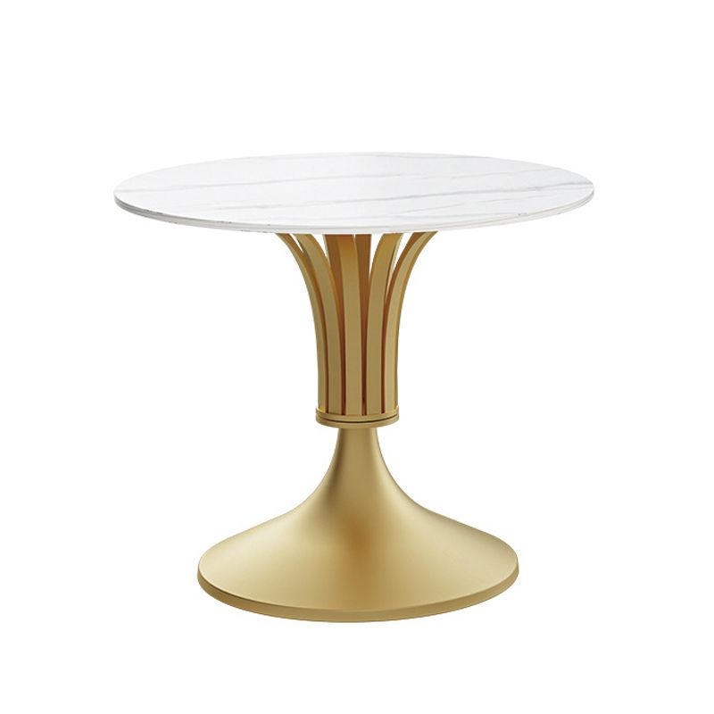 Metal Glam Dining Set with Padded Chairs 1/2/3/5 Pcs White Stone Dining Table Set