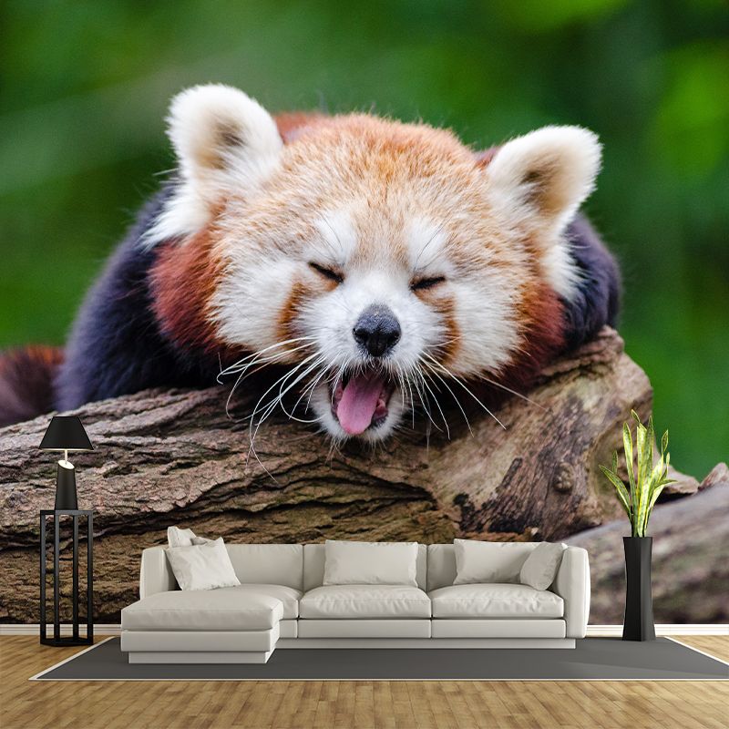 Customized Contemporary Red Panda Mural Mildew Resistant for Sitting Room Bedroom