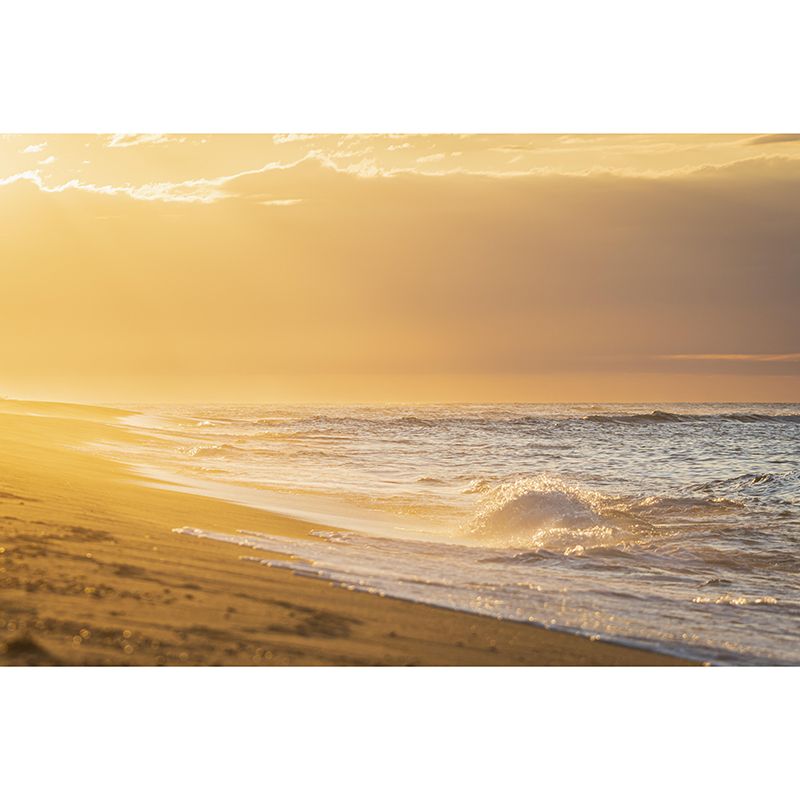 Beautiful Sea Mural Decal Decorative Modern Style Moisture Resistant for Bathroom