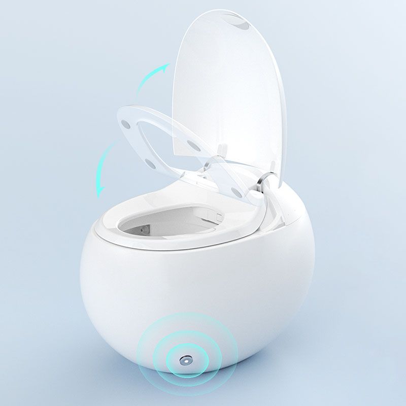 White Egg Shaped Electronic Elongated Toilet Floor Standing Bidet
