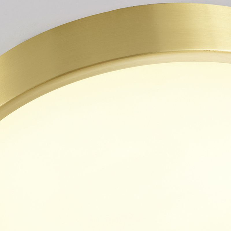 Modern Simplicity Style LED Ceiling Light Gold Round Flush Mount Lighting Fixture for Living Room