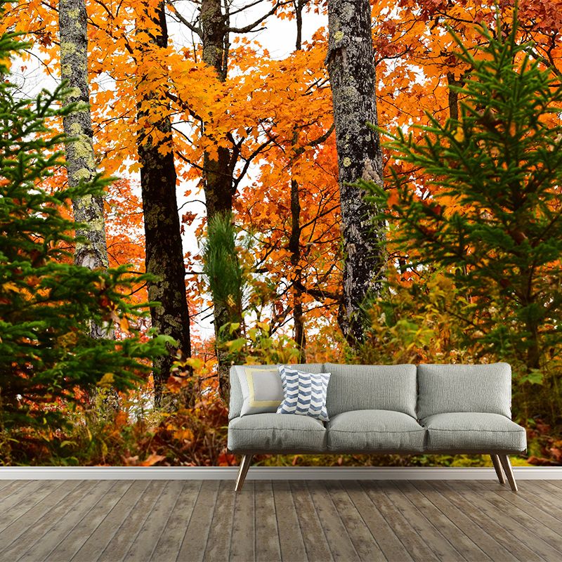 Forest Mural Wallpaper Scenery Modern Waterproof Wall Art for Living Room