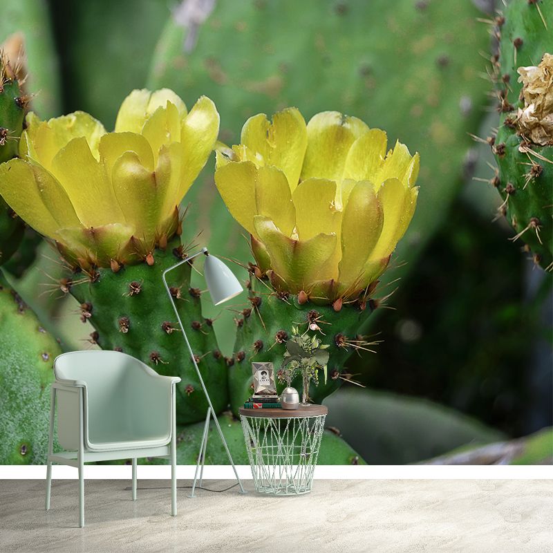 Green Cactus Mural Wallpaper for Reading Room Bedroom, Moisture Resistant