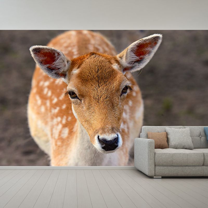 Deer Wall Decal Stain Resistant Mural Wallpaper Contemporary Bedroom Wall Covering