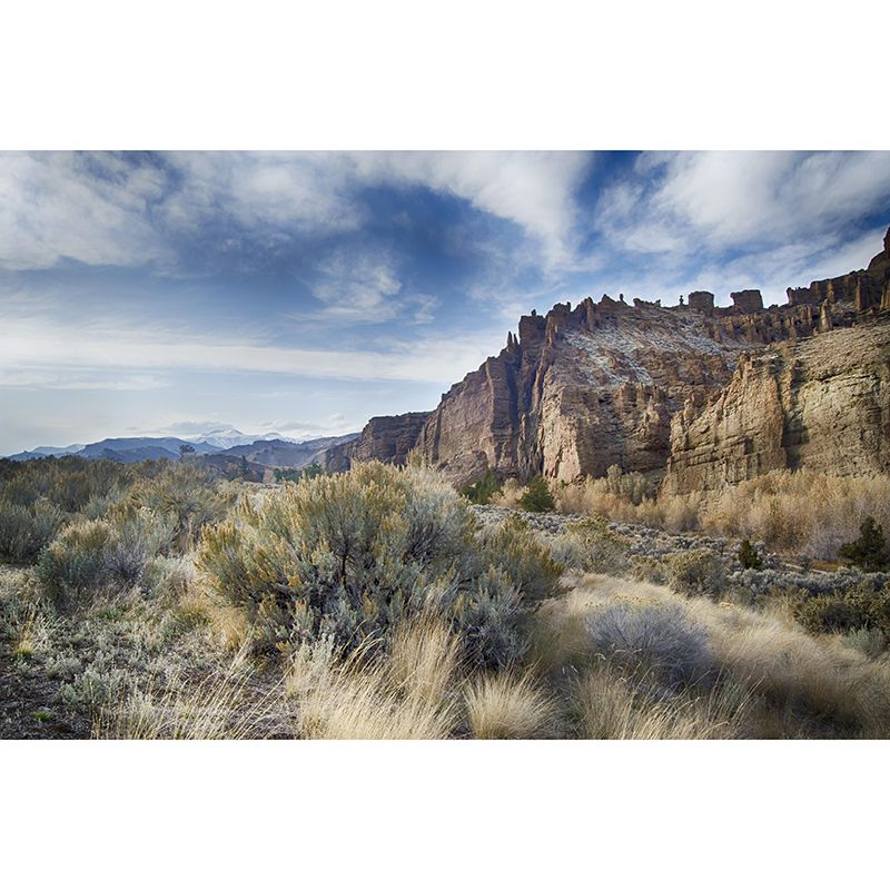 Mountain Wall Mural Decal Modern Style Moisture Resistant Sitting Room Wall Decor