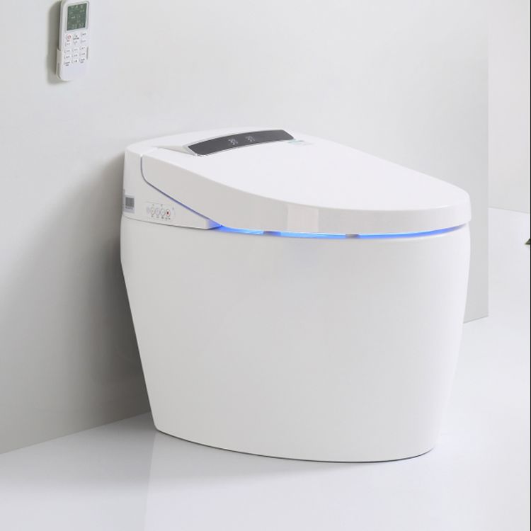 Contemporary Floor Standing Bidet in White Elongated  Toilet