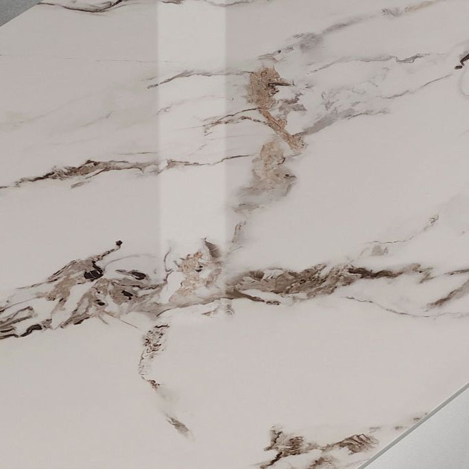 Modern Sintered Stone Dining Set with Rectangle Tabale and Metal Base Dining Room Furniture Set