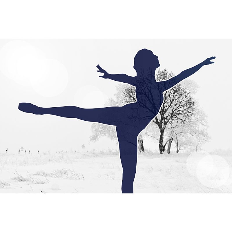 Ballet Mural Wallpaper Mildew Resistant Wall Covering for House Interior