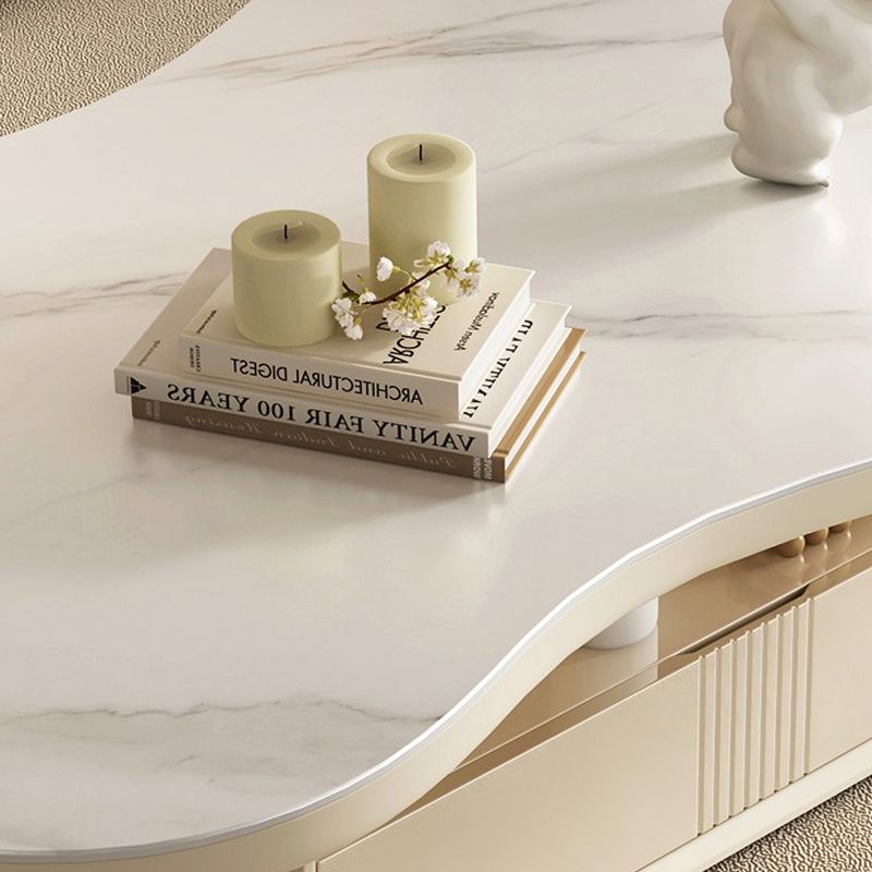 Pedestal Modern Slate Cocktail Table Free-Form Single Coffee Table with Shelf