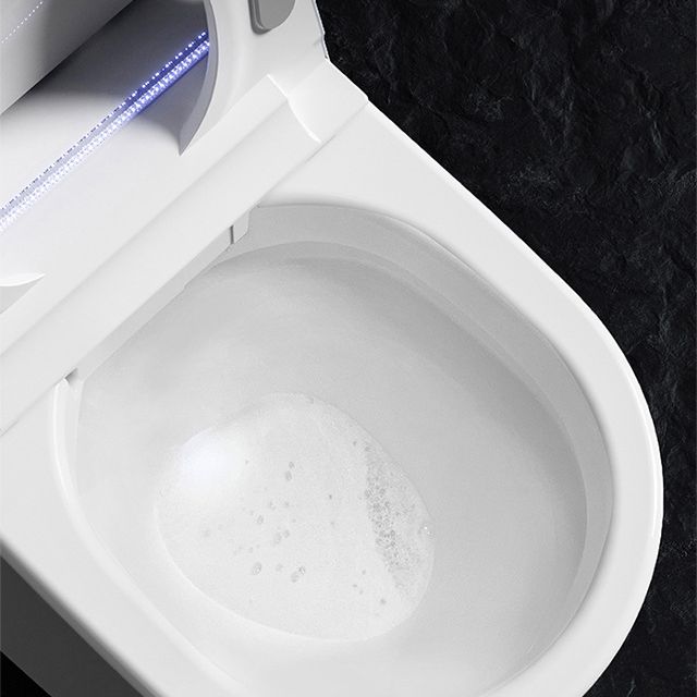 Modern Floor Mounted White Urine Toilet Siphon Jet Toilet Bowl with Toilet Seat