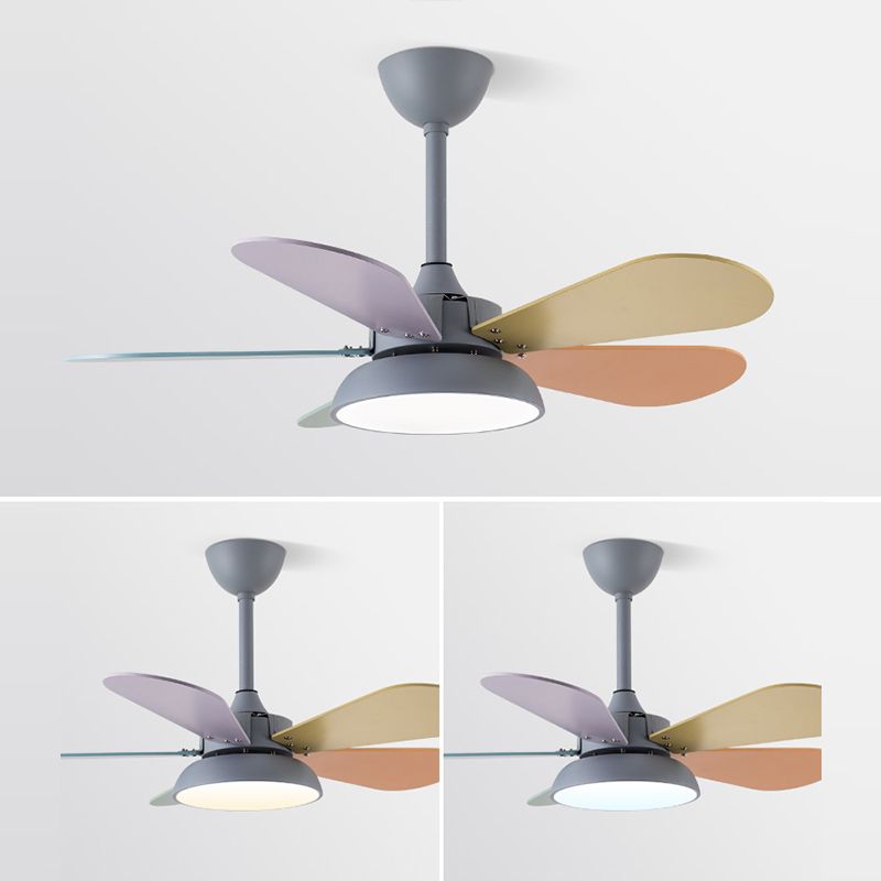 Vel a sospensione arrotonda colorata Light Macaron Style Metal Camera LED LED LAMPO